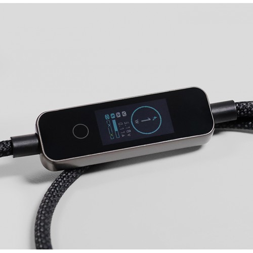 Digicable 100W - 3