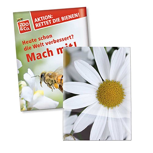 Seed-bag small - Standard paper - Marguerite