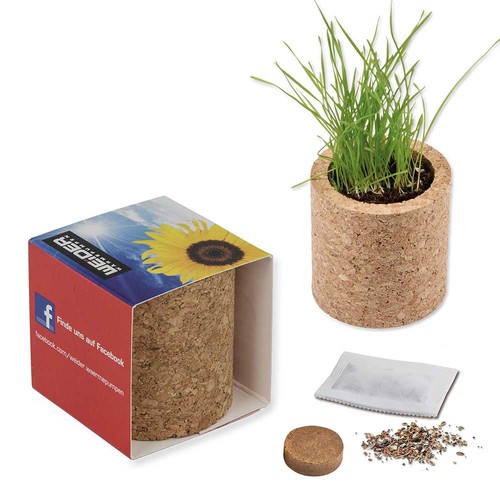 Plant-cork round with seeds - Spruce Plant-cork round with seeds - Spruce