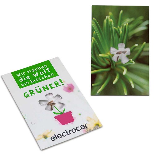 Seed-card-mini flower - Spruce