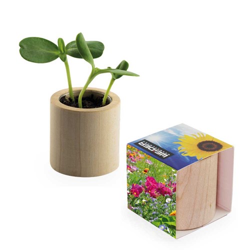 Plant-wood round with seeds - Summerflowers mix