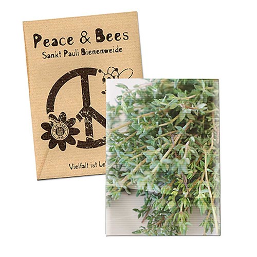 Seed-bag mini - Natron kraft paper - Thyme