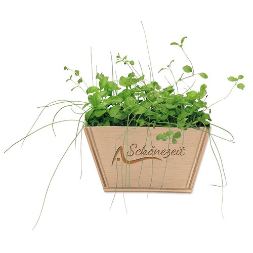 Mini-bed with seeds - Forget-me-not Mini-bed with seeds - Forget-me-not