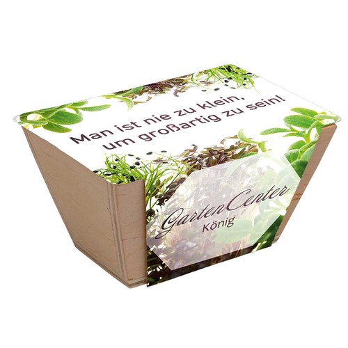 Mini-bed with seeds - Forget-me-not Mini-bed with seeds - Forget-me-not