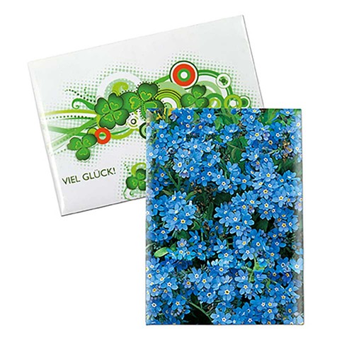 Seed-bag mini - Standard paper - Forget-me-not