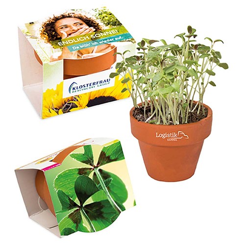 Mini logo-pot complete paper band with seeds - Four-leaf clover