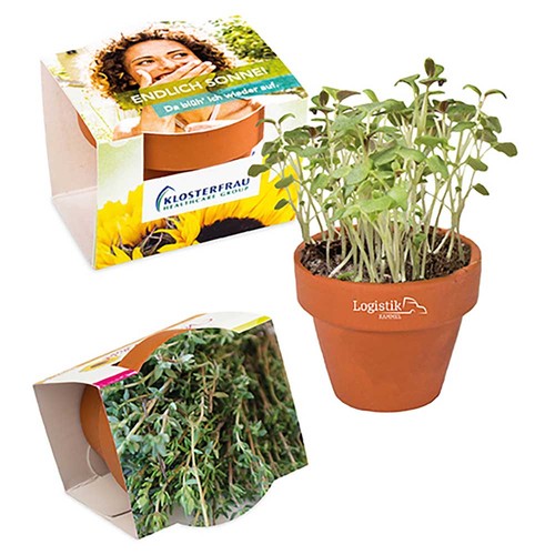 Mini logo-pot complete paper band with seeds - Thyme