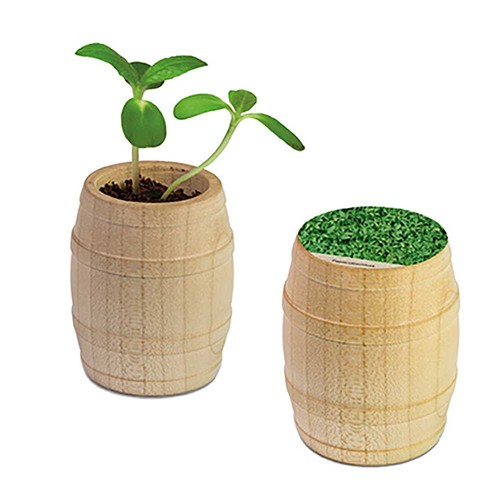 Plant-barrel with seeds - Cress