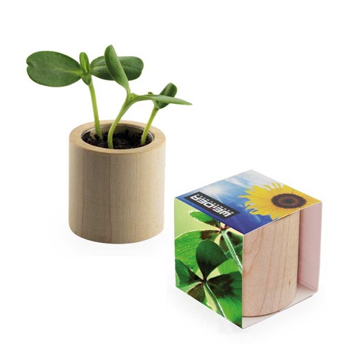 Plant-wood round with seeds - Four-leaf clover