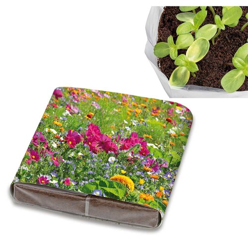 Pop-up potting soil with seeds - Summerflowers mix