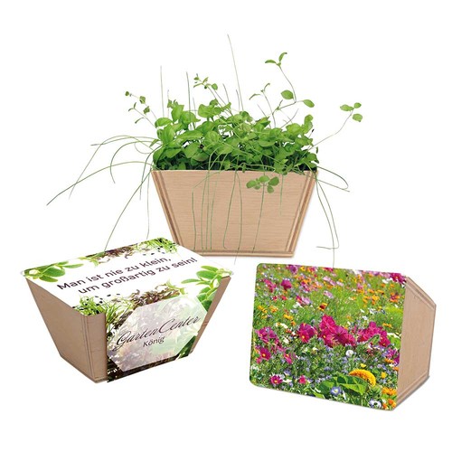 Mini-bed with seeds - Summerflowers mix