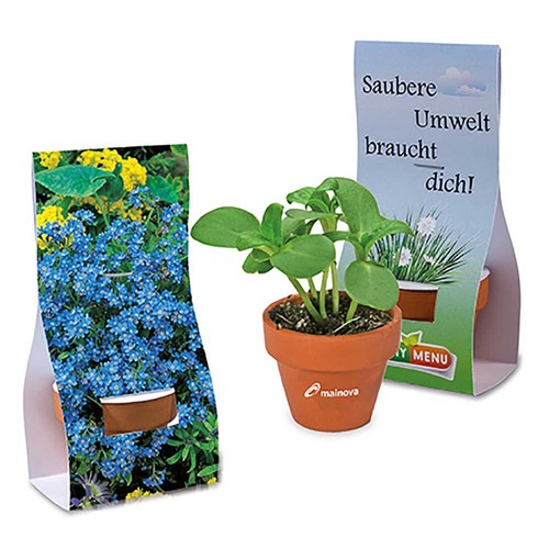 Mini logo-pot handover-packaging with seeds - Forget-me-not
