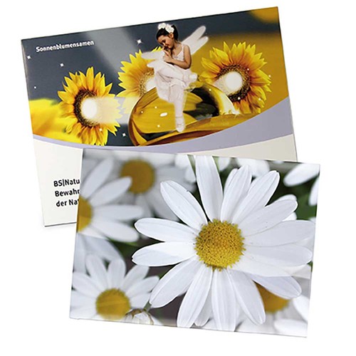 Seed-bag large - Standard paper - Marguerite