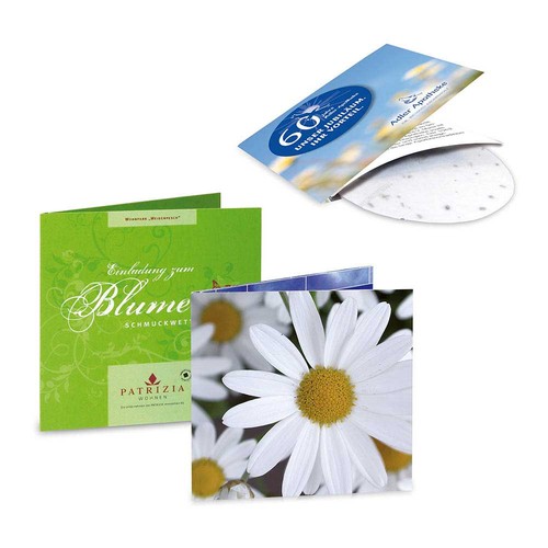 Green-card with seeds - marguerite, 4/0-c