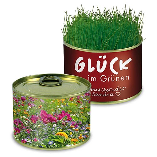 Nature-reserve with seeds - Summerflowers mix