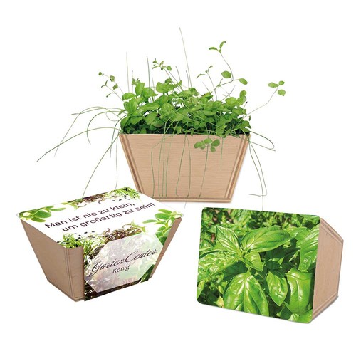 Mini-bed with seeds - Basil