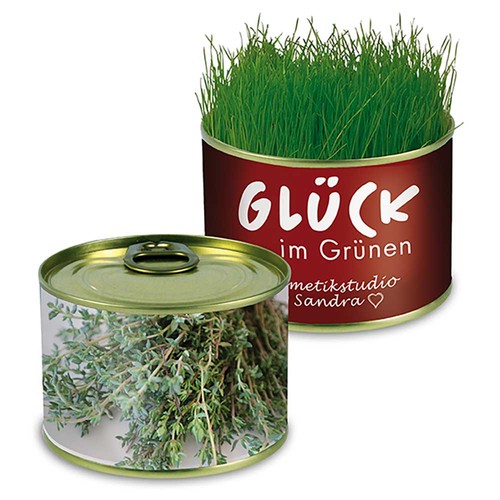 Nature-reserve with seeds - Thyme