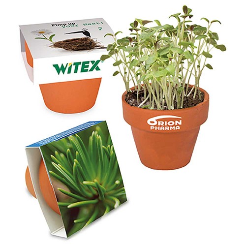 Mini logo-pot paper band with seeds - Spruce