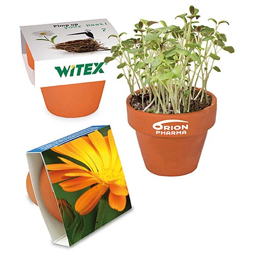 Mini logo-pot paper band with seeds - Marigold
