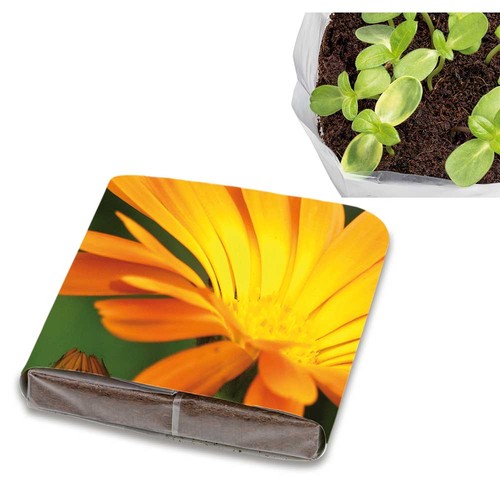 Pop-up potting soil with seeds - Marigold