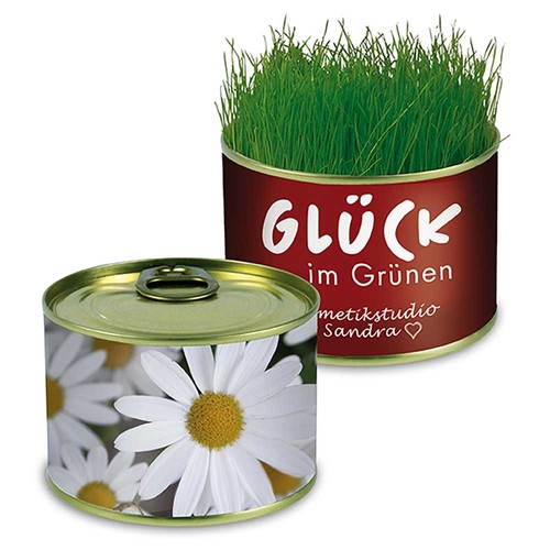 Nature-reserve with seeds - Marguerite