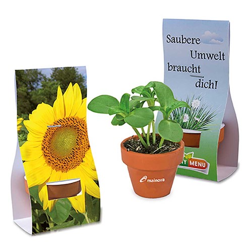 Mini logo-pot handover-packaging with seeds - Sunflowers