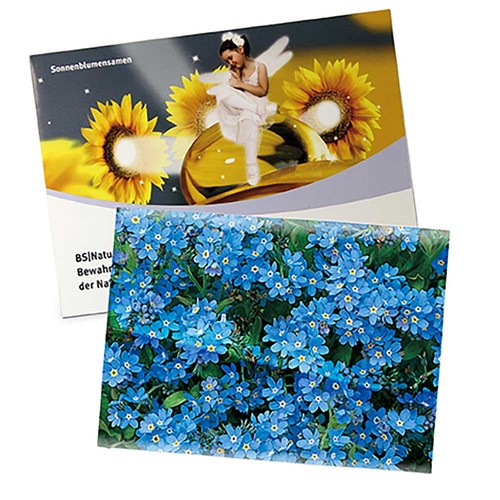 Seed-bag large - Standard paper - Forget-me-not