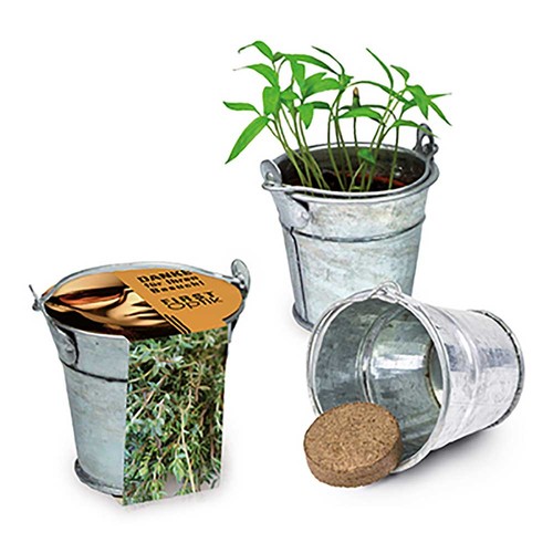 Mini plant-bucket with seeds - Thyme