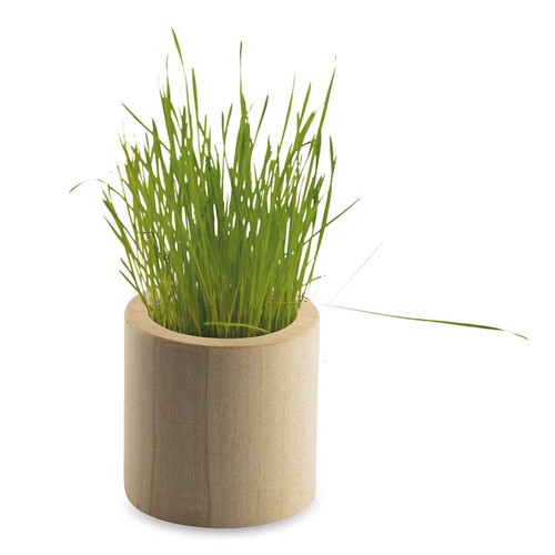 Plant-wood round with seeds - Chili Plant-wood round with seeds - Chili