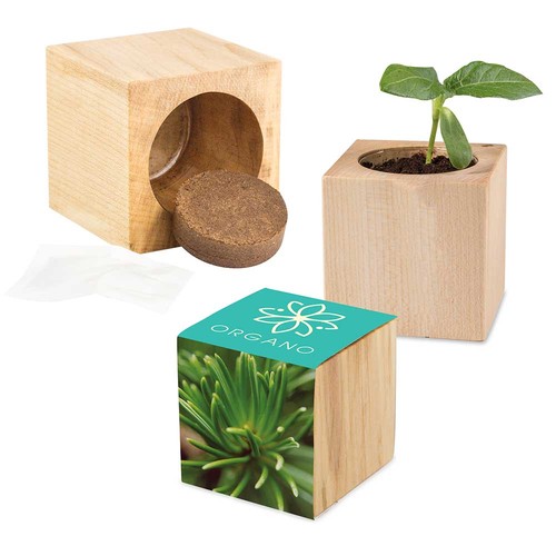 Plant-wood Maxi with seeds - Spruce