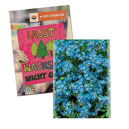 Seed-bag small - Grass paper - Forget-me-not