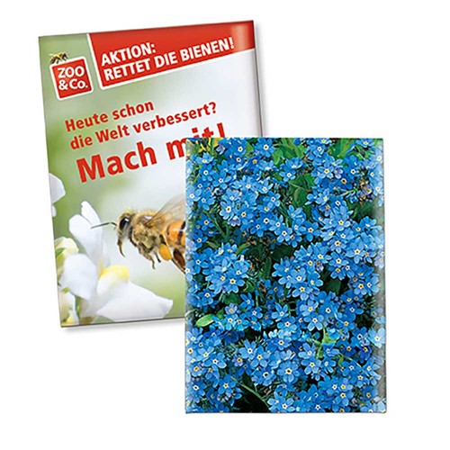 Seed-bag small - Standard paper - Forget-me-not