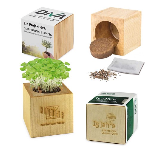 Plant-wood Maxi with seeds - Persian clover (seeds) Plant-wood Maxi with seeds - Persian clover (seeds)