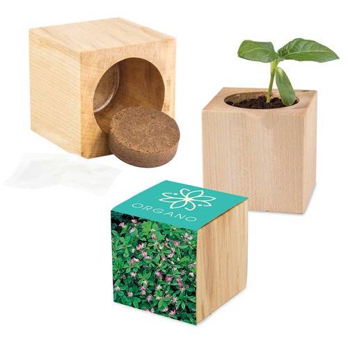 Plant-wood Maxi with seeds - Persian clover (seeds)