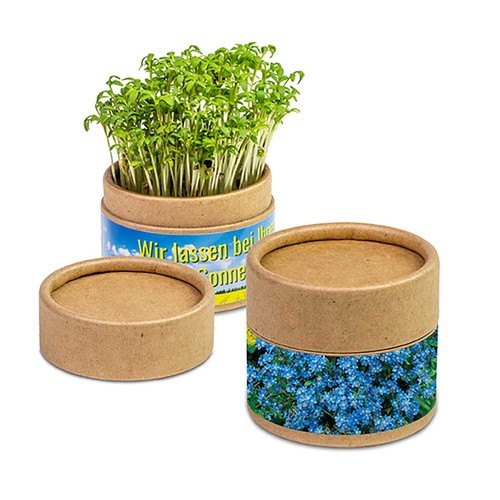 Plant-cup with seeds - Forget-me-not
