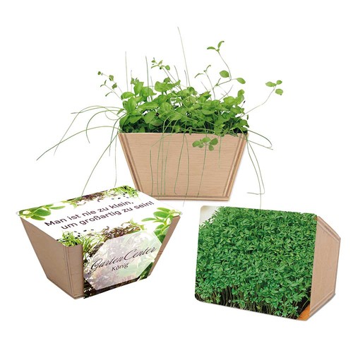 Mini-bed with seeds - Cress