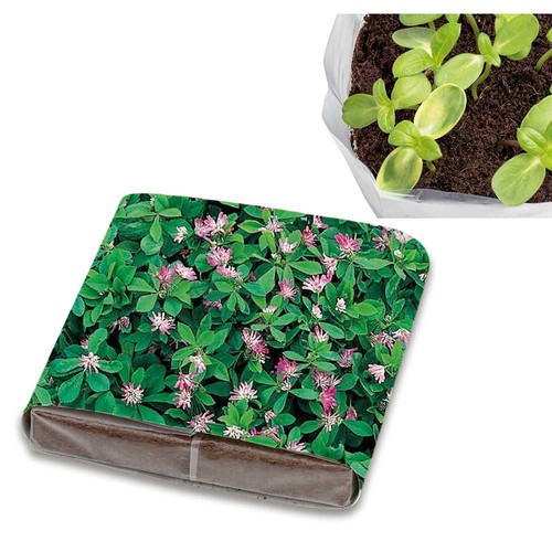 Pop-up potting soil with seeds - Persian clover (seeds)