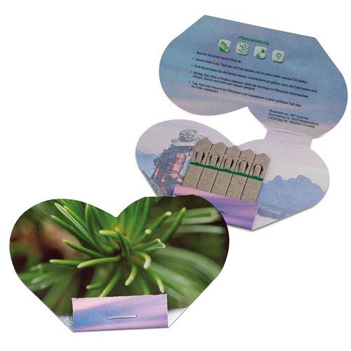 Seed-stick - heart - Spruce