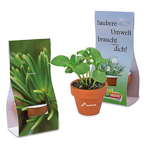 Mini logo-pot handover-packaging with seeds - Spruce
