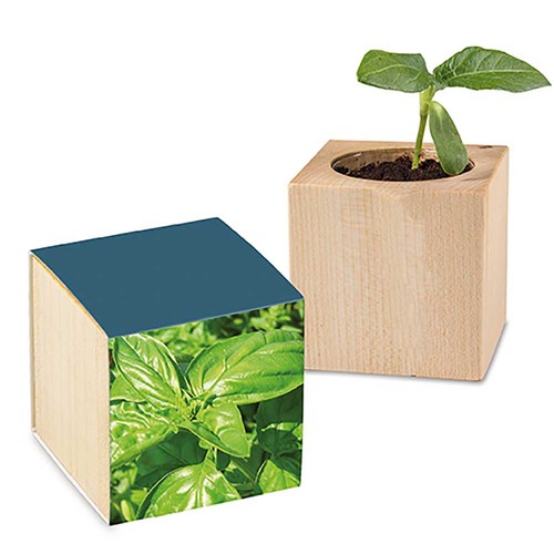 Plant-wood with seeds - Basil