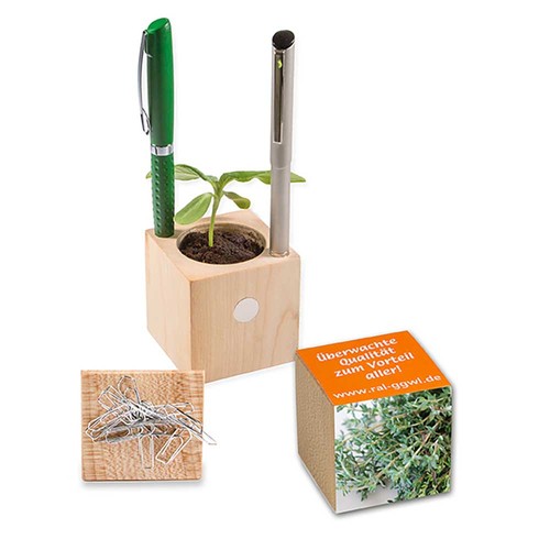 Plant-wood office with seeds - Thyme