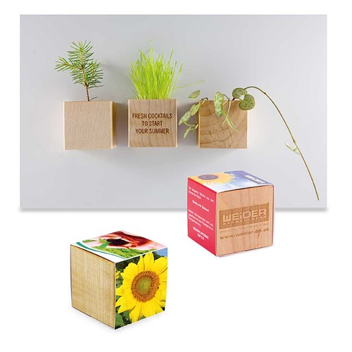 Plant-wood magnet with seeds - Sunflowers
