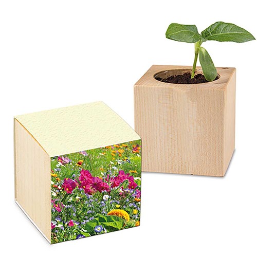 Plant-wood with seeds (paper band from grass paper) - Summerflowers mix