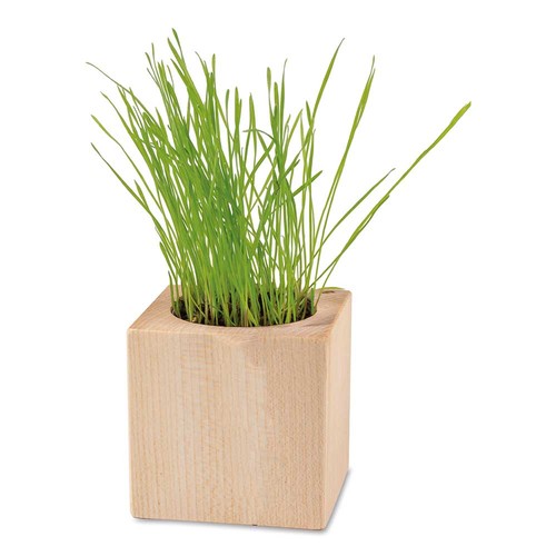 Plant-wood - Standard - Easter - without laser engraving Plant-wood - Standard - Easter - without laser engraving