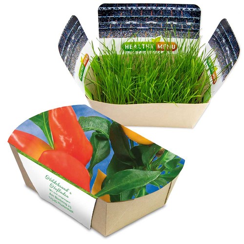 Plantodrom with seeds - Chilli