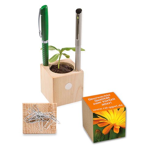Plant-wood office with seeds - Marigold