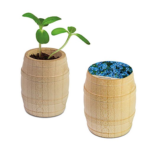 Plant-barrel with seeds - Forget-me-not
