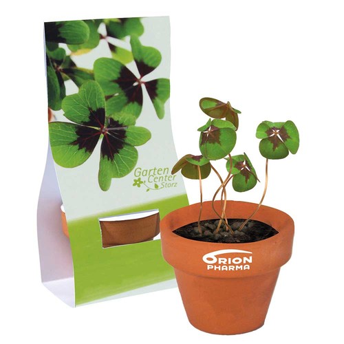 Mini logo-pot handover packaging with seeds - Four-leaf clover