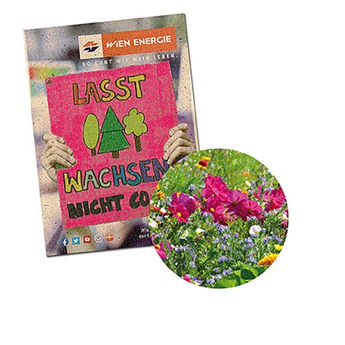 Seed-bag small - Grass paper - Summerflowers mix