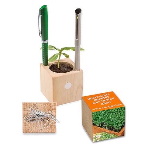 Plant-wood office with seeds - Cress
